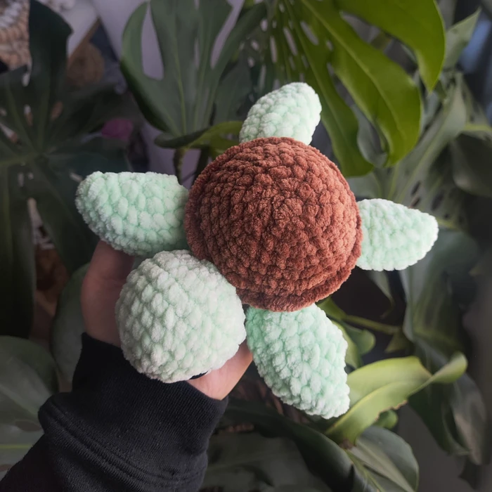 צב קטן - ירוק